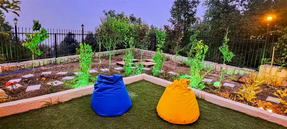 The garden at golden hour